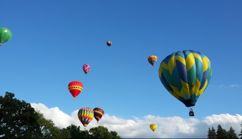 A colorful array of hot air balloons floats in a clear blue sky, surrounded by green trees and fluffy clouds.