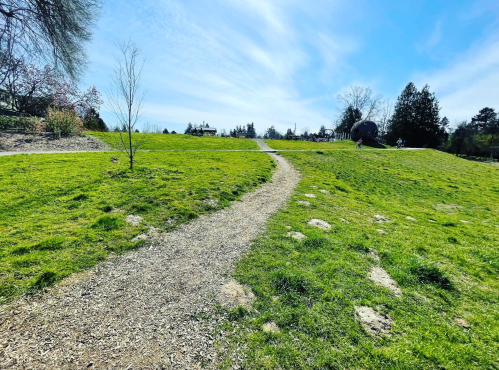 A winding gravel path through a grassy park under a clear blue sky, with trees and a distant building in view.