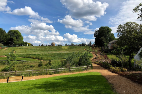 A scenic park with a grassy hill, walking path, and scattered trees under a blue sky with fluffy clouds.