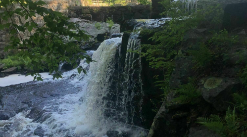 A serene waterfall cascading over rocks, surrounded by lush greenery and ferns.