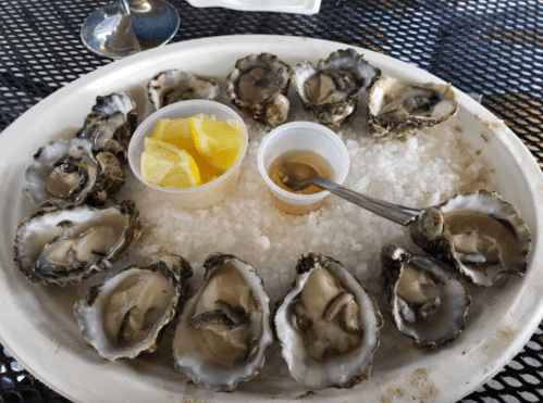 A plate of fresh oysters on ice, served with lemon wedges and a small cup of sauce.