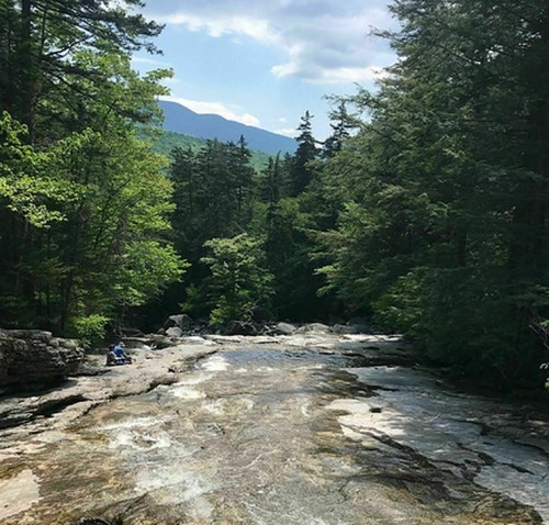 A serene river flows through a lush forest, with mountains visible in the background under a partly cloudy sky.