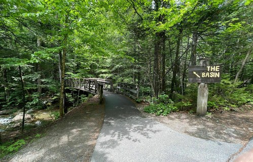 A wooden bridge leads into a lush green forest, with a sign pointing to "The Basin" along a paved path.