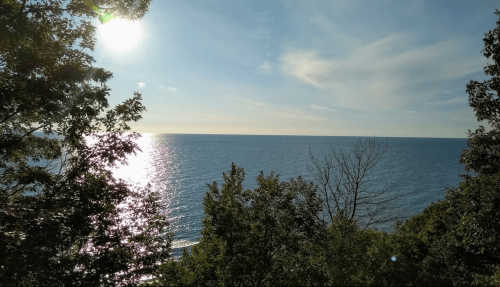 A serene view of the ocean under a bright sun, framed by trees and a clear blue sky.