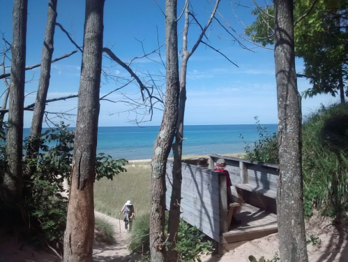 A serene beach scene framed by trees, with a wooden bench and a person walking along the sandy path towards the water.