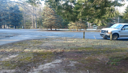 A gravel area with sparse grass and trees, featuring a parked white truck near a quiet, empty road.