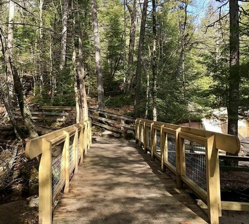 A wooden bridge surrounded by trees in a forest, leading to a scenic area with sunlight filtering through the leaves.