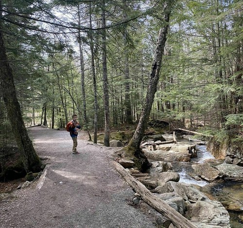 A person stands on a forest trail beside a stream, surrounded by tall trees and rocky terrain.