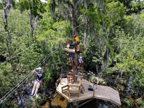 Aerial view of a zipline platform in a lush forest, with people preparing to zipline and others resting on the platform.