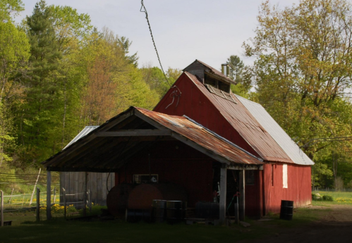 A rustic red barn with a metal roof, surrounded by green trees and a clear sky.