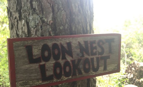 A wooden sign reading "LOON NEST LOOKOUT" attached to a tree in a natural setting.