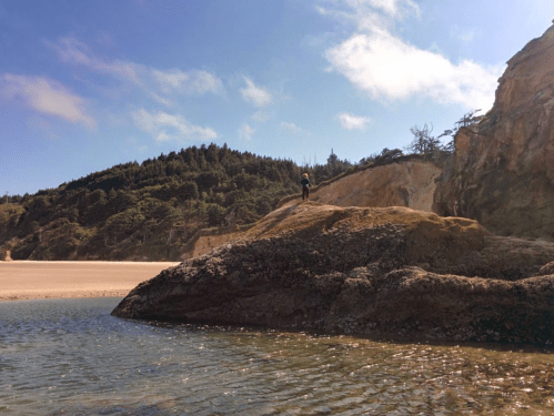 A person stands on a rocky outcrop by the water, with a sandy beach and forested hills in the background.