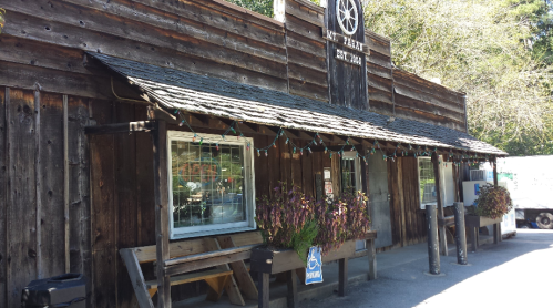 A rustic wooden building with a sign, porch seating, and flower pots, surrounded by greenery.