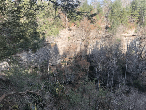 A rocky cliff surrounded by trees, with shadows cast on the forest floor below.