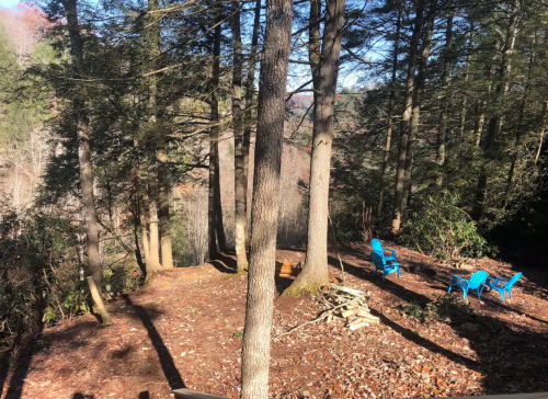 A serene forest scene with tall trees, a clearing, and two blue chairs overlooking a valley.