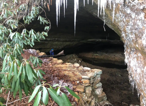 A cave entrance with icicles hanging, surrounded by greenery and a stone wall, with a person visible inside.