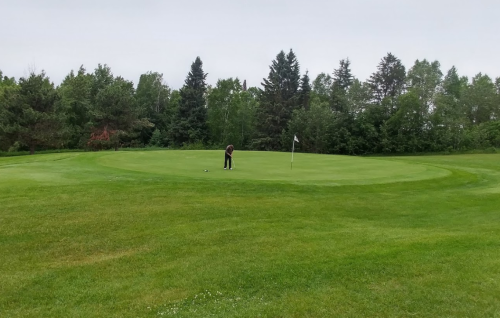 A golfer putts on a green surrounded by trees and lush grass under a cloudy sky.