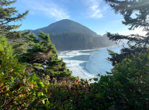 Scenic coastal view with waves, a mountain in the background, and lush greenery in the foreground.