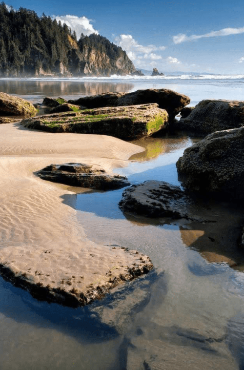 Rocky shoreline with tide pools, sandy beach, and lush forested cliffs under a clear blue sky.
