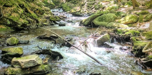 A serene stream flows through a rocky forest, surrounded by lush greenery and sunlight filtering through the trees.