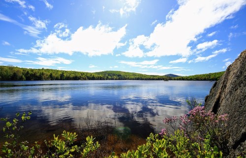 A serene lake surrounded by lush greenery and colorful flowers, reflecting a bright blue sky with fluffy clouds.