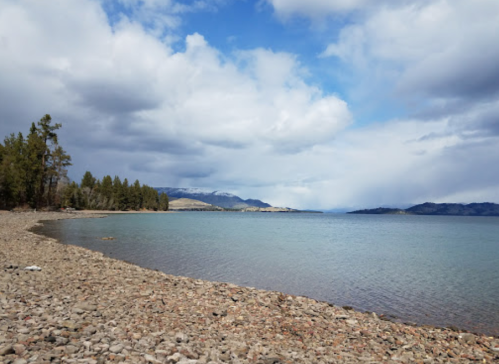 A serene lakeside view with a rocky shore, trees in the background, and cloudy skies above.