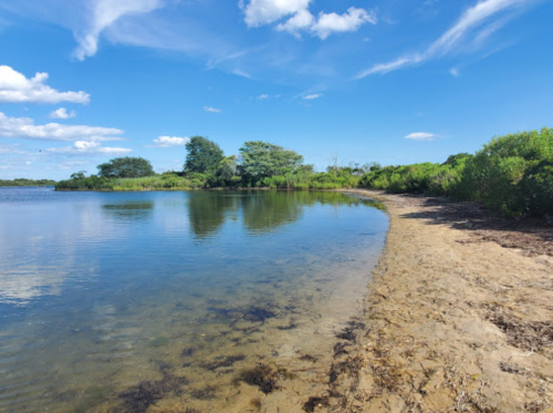 A serene shoreline with calm water, sandy beach, and lush greenery under a blue sky with scattered clouds.