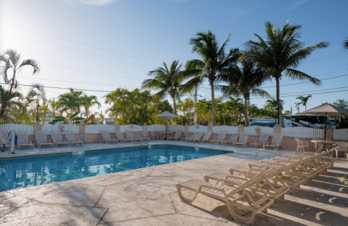 A sunny pool area with lounge chairs, palm trees, and umbrellas, surrounded by a white fence.