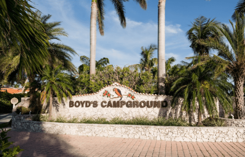 Sign for Boyd's Campground surrounded by palm trees and lush greenery under a clear blue sky.