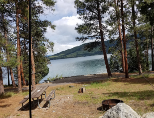 Scenic view of a lake surrounded by trees, with a picnic table and fire pit in the foreground.
