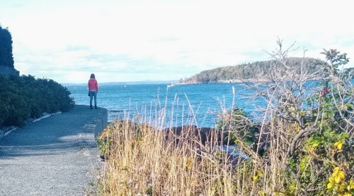 A person in a red jacket stands on a path by the water, overlooking a scenic view of the coastline and hills.