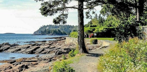 A scenic coastal path lined with trees and rocks, overlooking the ocean and distant hills on a sunny day.