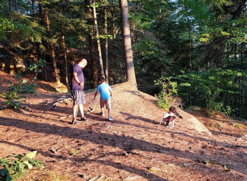 A man and two children walk along a wooded path, surrounded by trees and sunlight filtering through the leaves.