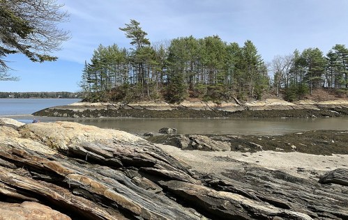 A rocky shoreline with trees on a small island, overlooking a calm waterway under a clear blue sky.