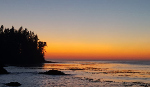A serene sunset over calm waters, with silhouettes of trees along the shoreline and vibrant orange and blue hues in the sky.