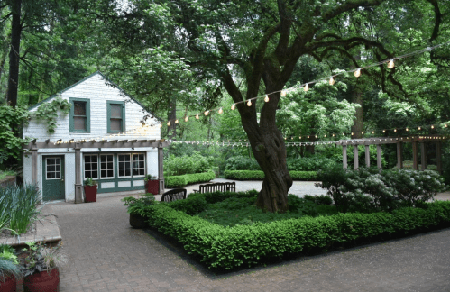 A serene garden with a cozy house, surrounded by lush greenery and string lights hanging from trees.