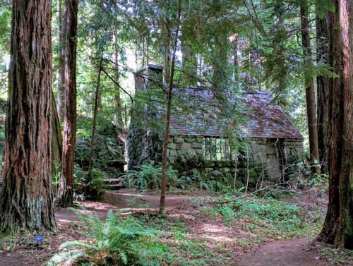 A rustic stone cabin nestled among tall trees in a lush forest setting. Ferns and greenery surround the area.