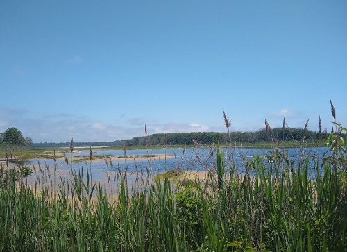 A serene landscape featuring a calm water body surrounded by lush greenery and a clear blue sky.