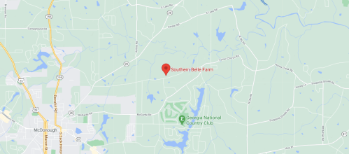 Map showing the location of Southern Belle Farm near McDonough, Georgia, with nearby landmarks and roads.