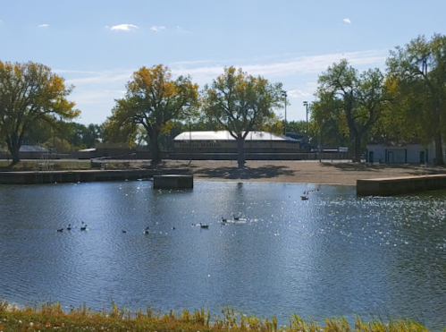A serene lake with ducks swimming, surrounded by trees and a building in the background under a clear blue sky.