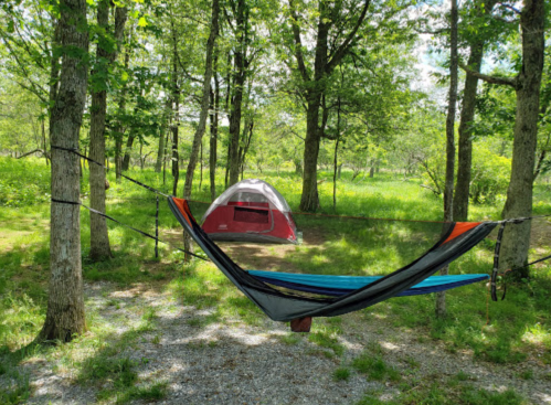 A colorful hammock hangs between trees, with a red tent set up nearby in a lush green forest.
