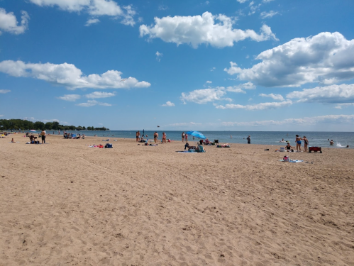 A sandy beach with people sunbathing and swimming under a blue sky with fluffy clouds.