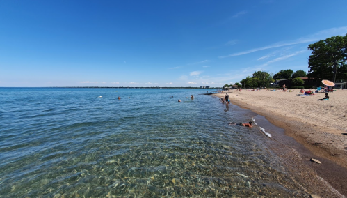 A sunny beach scene with clear water, people swimming, and a sandy shore lined with trees and umbrellas.