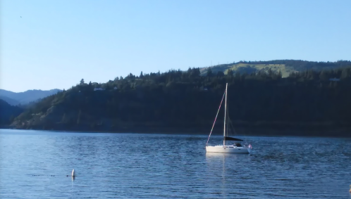 A sailboat floats on calm water with a forested hillside in the background under a clear blue sky.