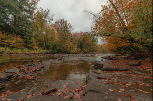 A serene river scene surrounded by trees with vibrant autumn foliage and scattered leaves on the rocky shore.