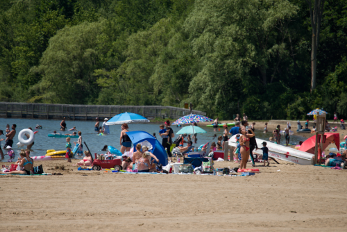 A busy beach scene with people sunbathing, swimming, and relaxing under umbrellas by the water.
