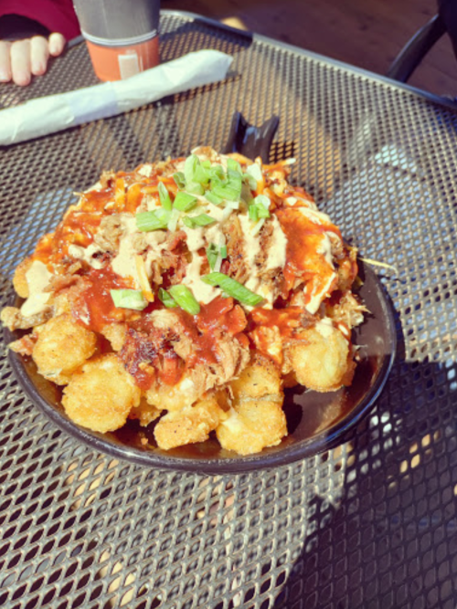 A bowl of loaded tater tots topped with pulled pork, sauce, and green onions, served on a metal table.
