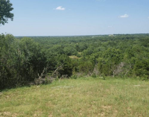A panoramic view of lush green trees and rolling hills under a clear blue sky.