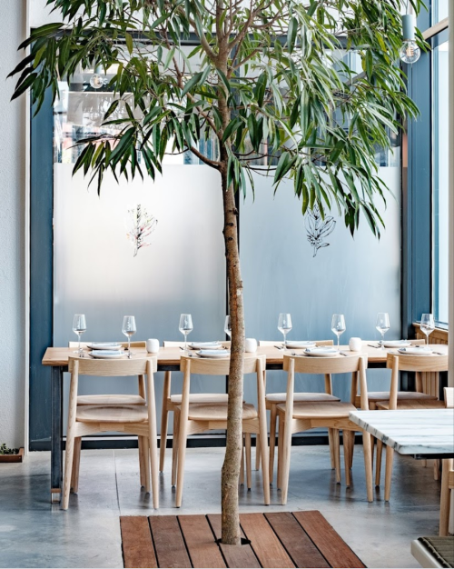 A modern restaurant interior featuring a central tree, wooden tables, and glassware set for dining.