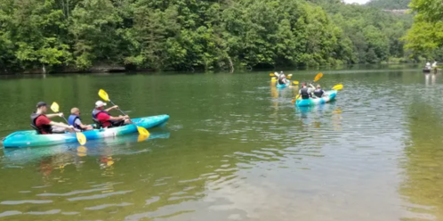 A group of people kayaking on a calm river surrounded by lush green trees on a sunny day.